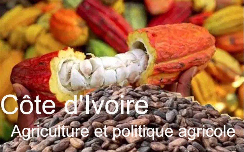 Côte d&rsquo;Ivoire : l&rsquo;agriculture, pilier économique et défis sociaux