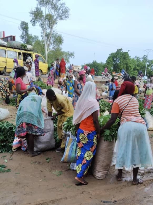 N’djamena face à la pauvreté : quand la lutte contre le désordre urbain échoue