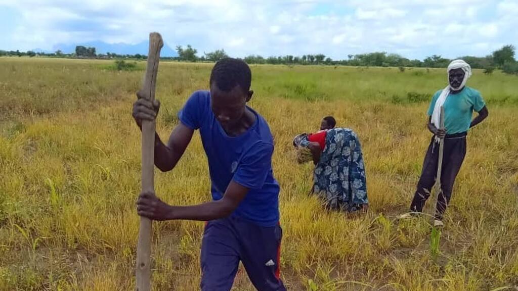 Un agriculteur délimite sa parcelle dans le cadre d'un champ école paysan au Tchad