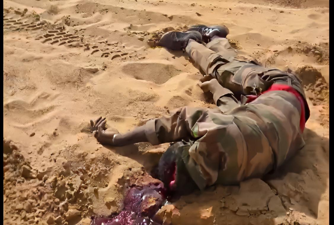 Embuscade de Tabrichat : bilan d'une attaque meurtrière dans le nord du Mali